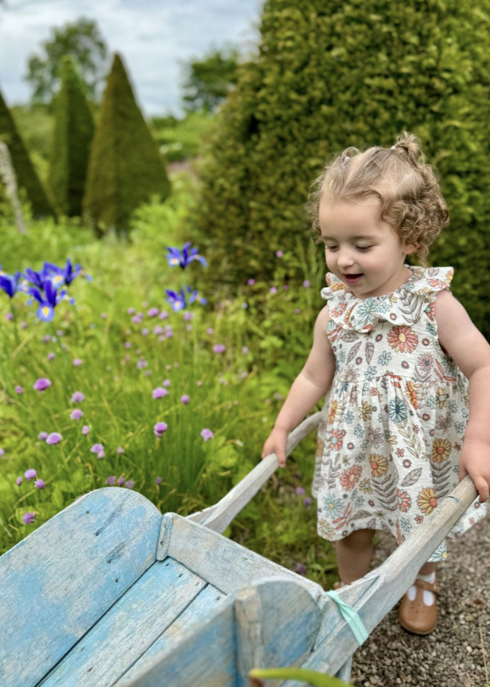 Elitaire Petite Beau Dress in Retro Floral