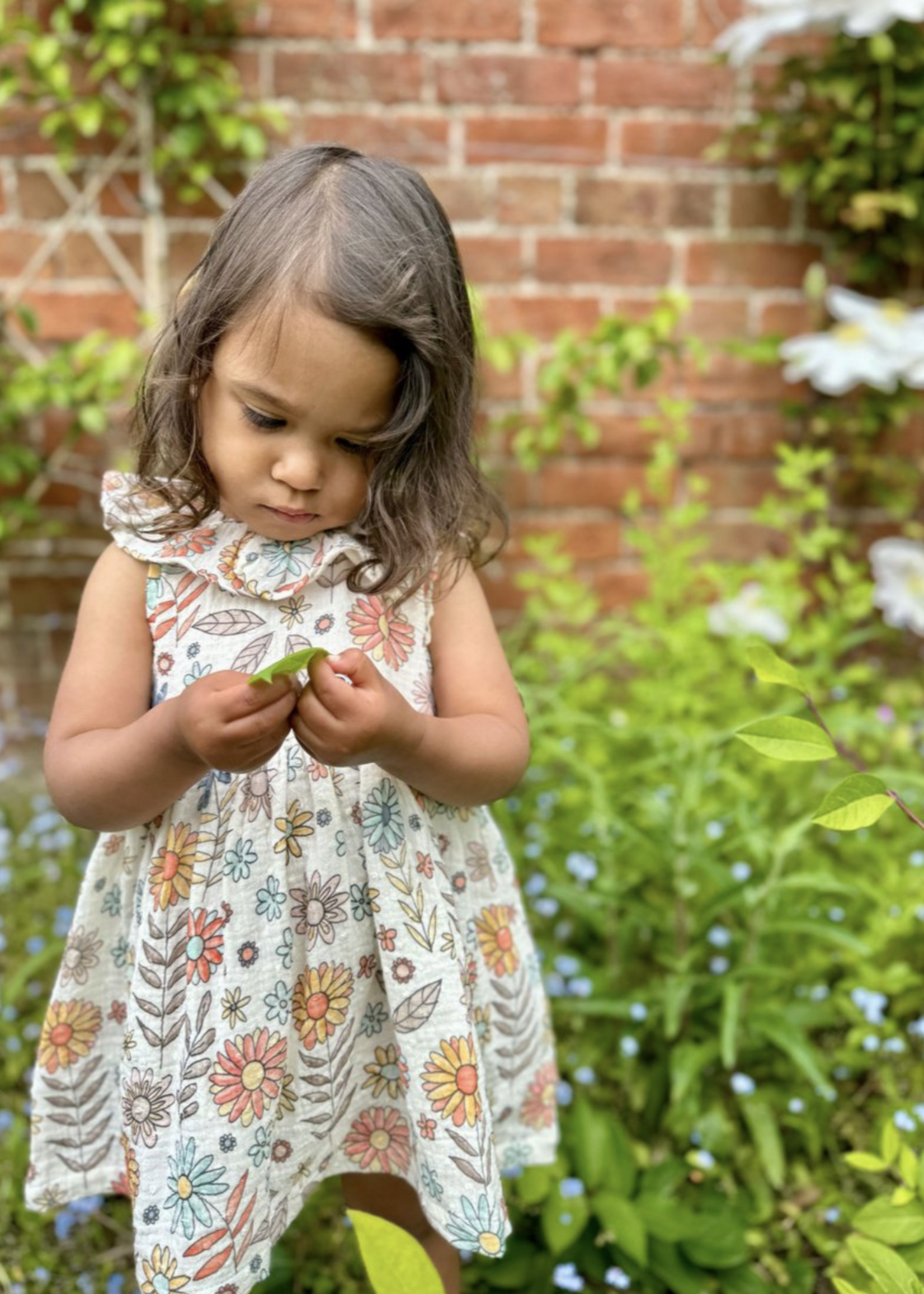 Elitaire Petite Beau Dress in Retro Floral