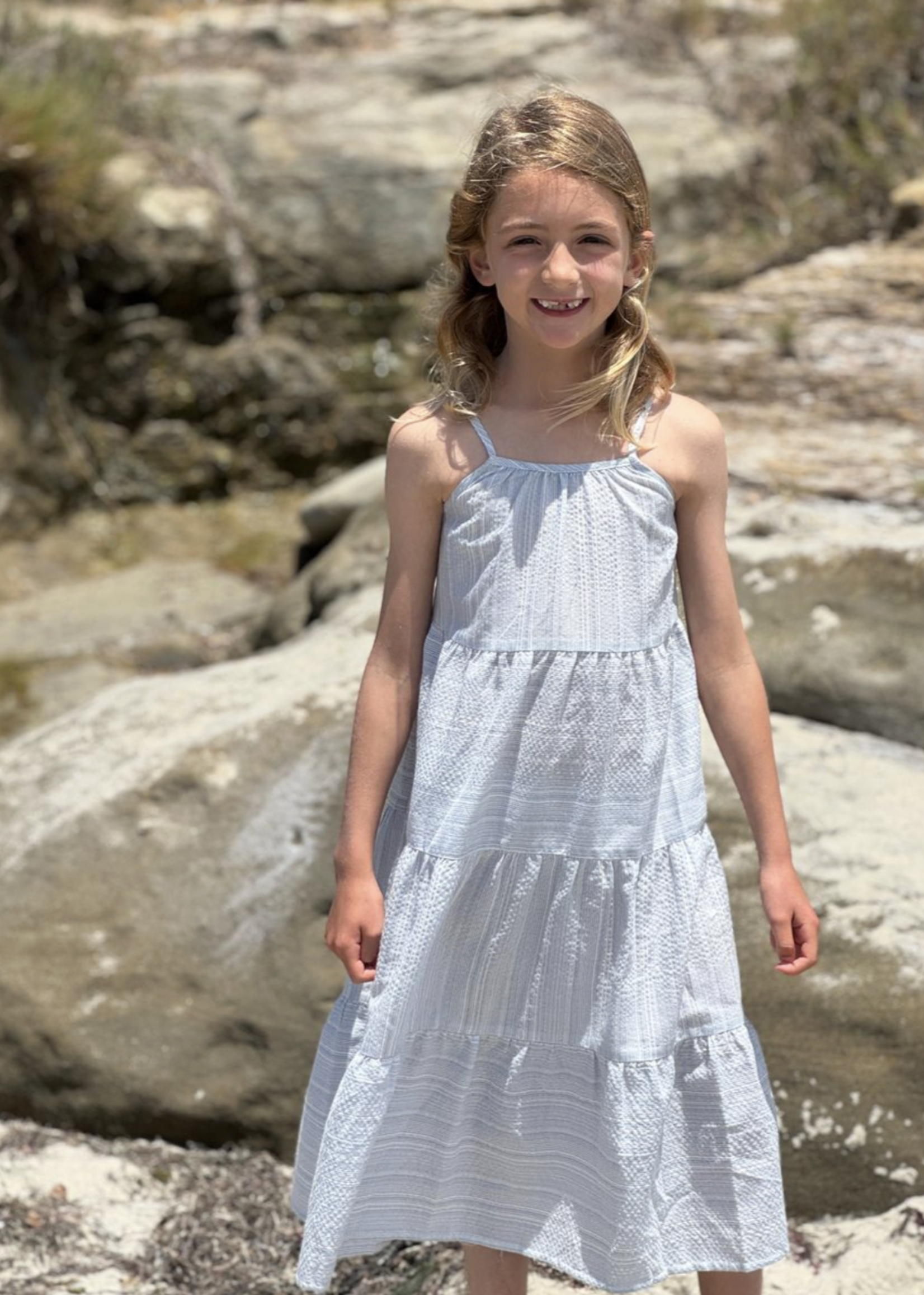 Elitaire Petite Sage Dress in Blue Stripe