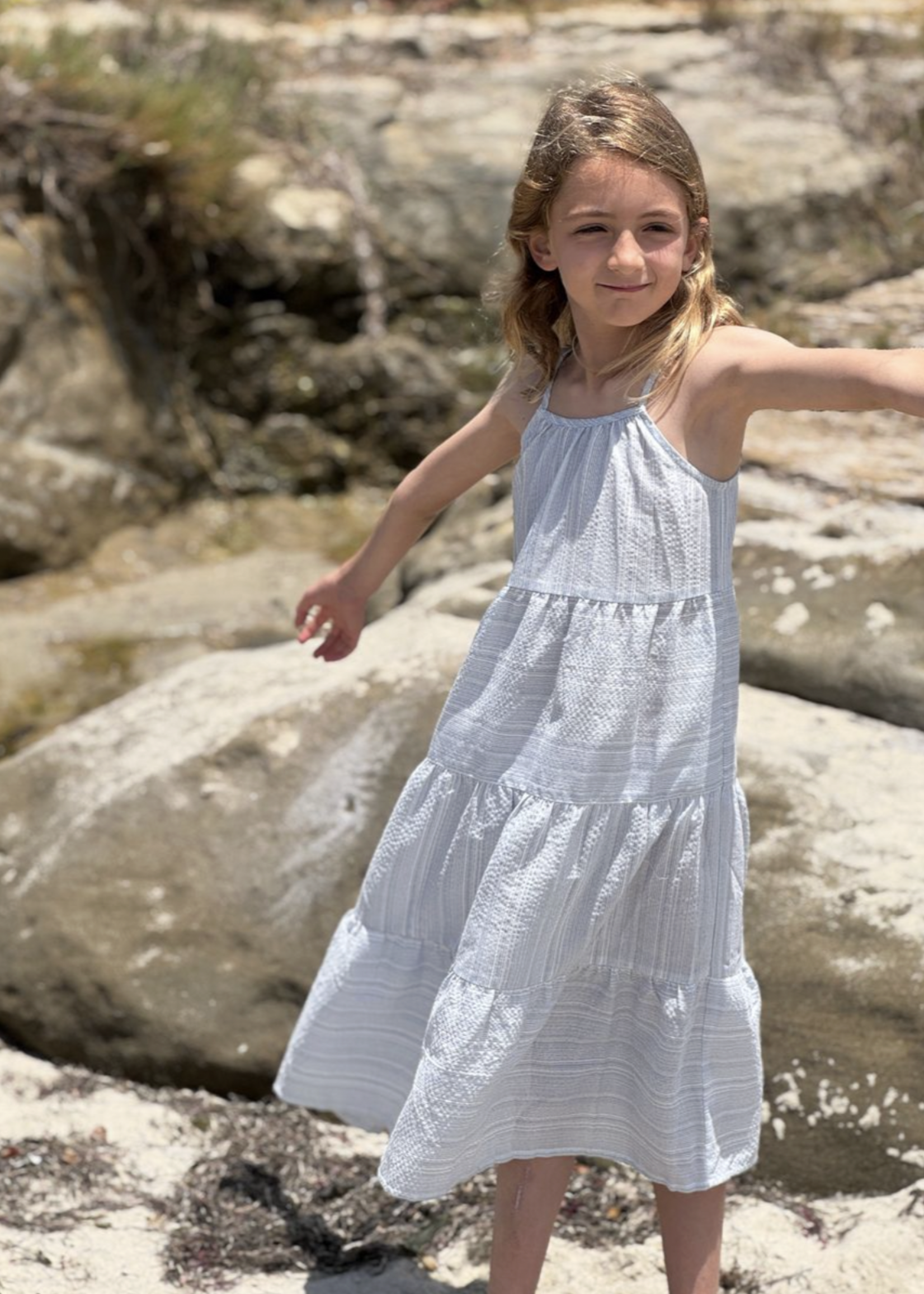 Elitaire Petite Sage Dress in Blue Stripe