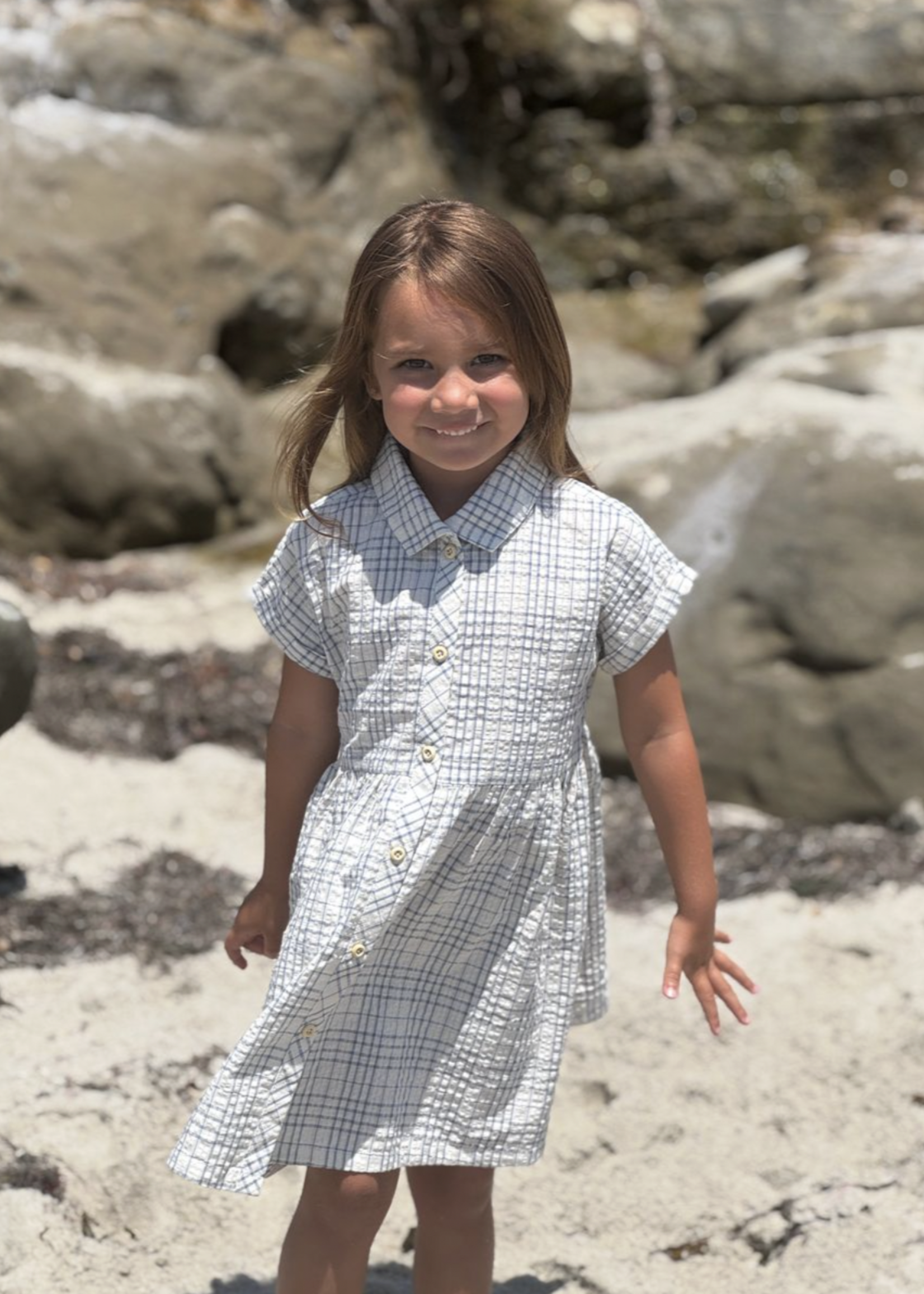 Elitaire Petite Heather Dress in Blue/Cream Plaid