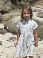 Elitaire Petite Heather Dress in Blue/Cream Plaid