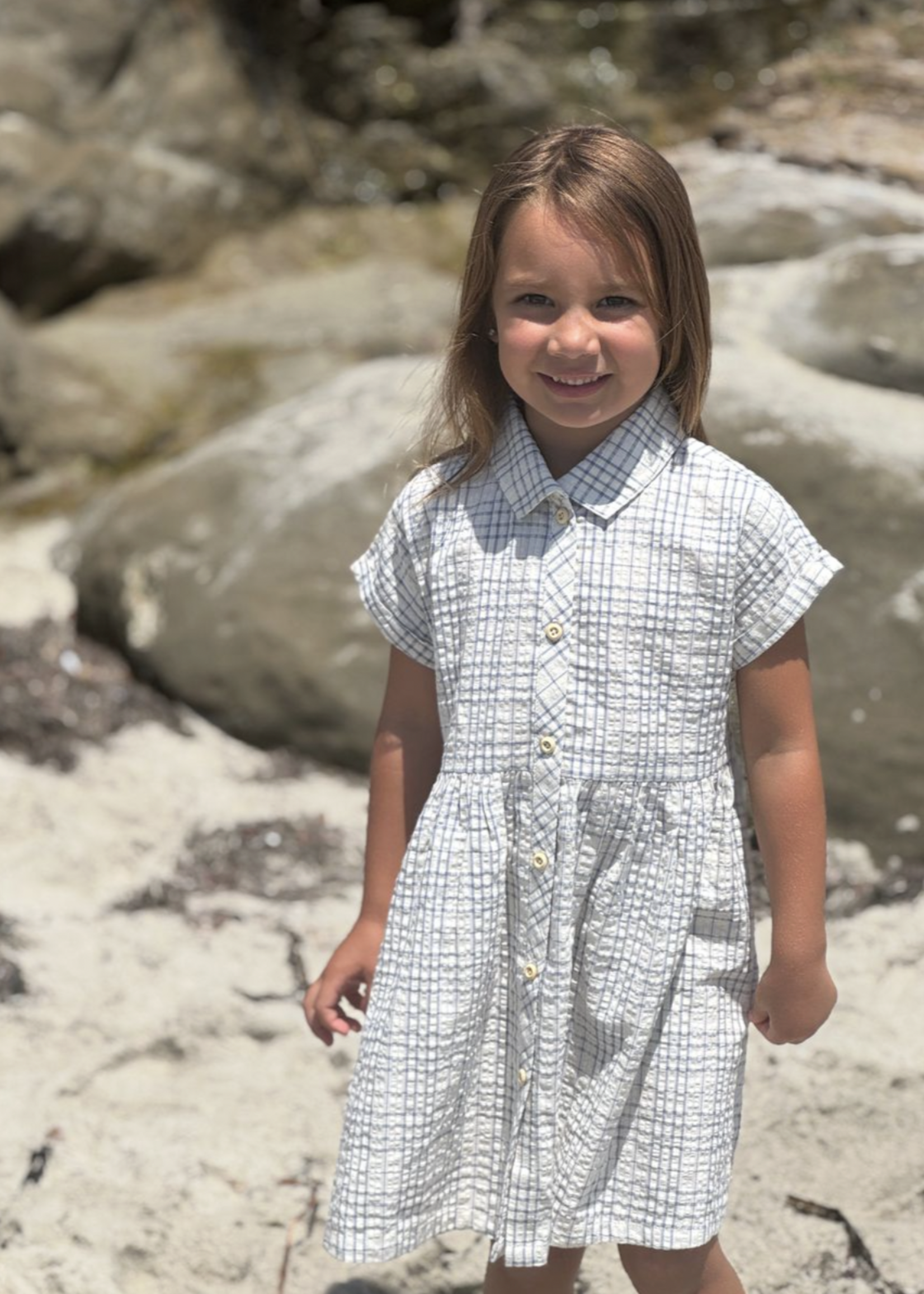 Elitaire Petite Heather Dress in Blue/Cream Plaid