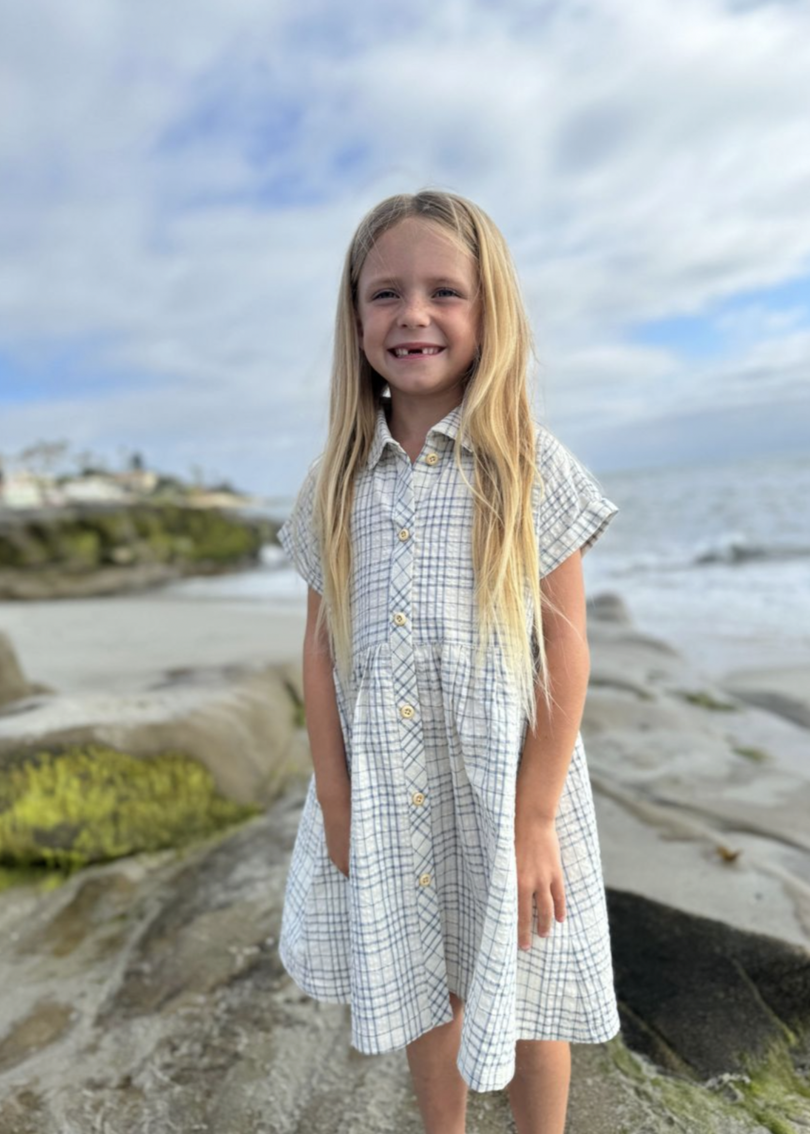 Elitaire Petite Heather Dress in Blue/Cream Plaid