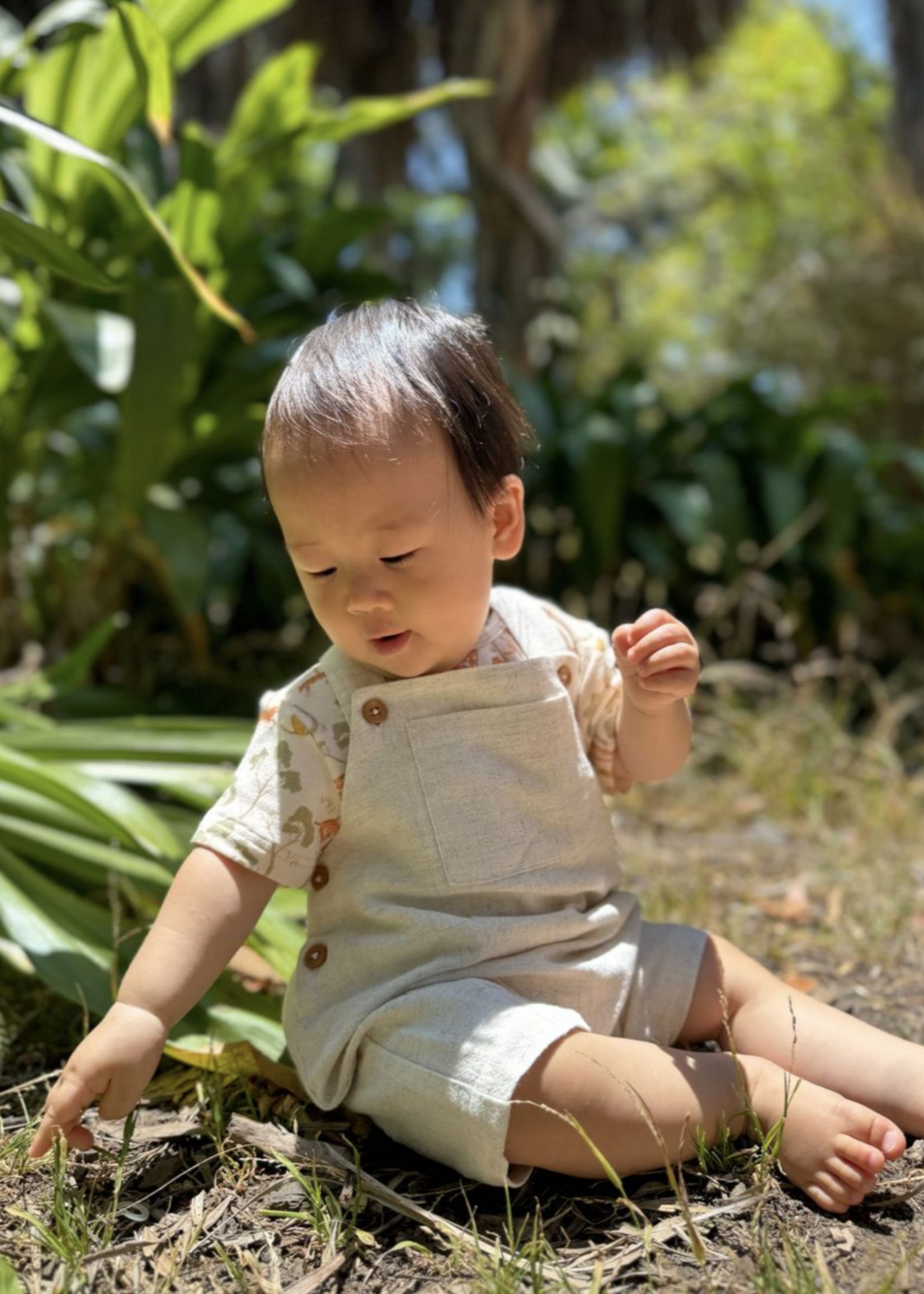 Elitaire Petite Wella Overalls Set in Safari