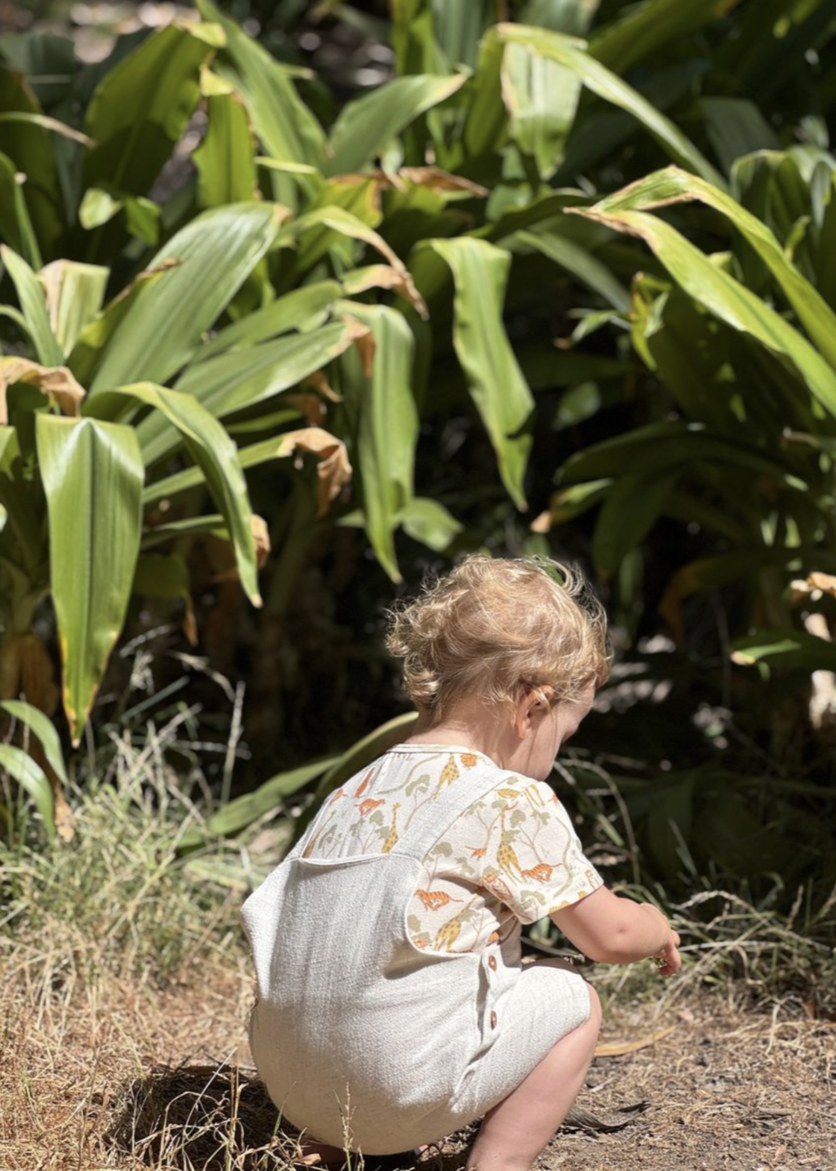 Elitaire Petite Wella Overalls Set in Safari