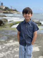 Elitaire Petite Bosun Gauze Pants in Chambray Stripe