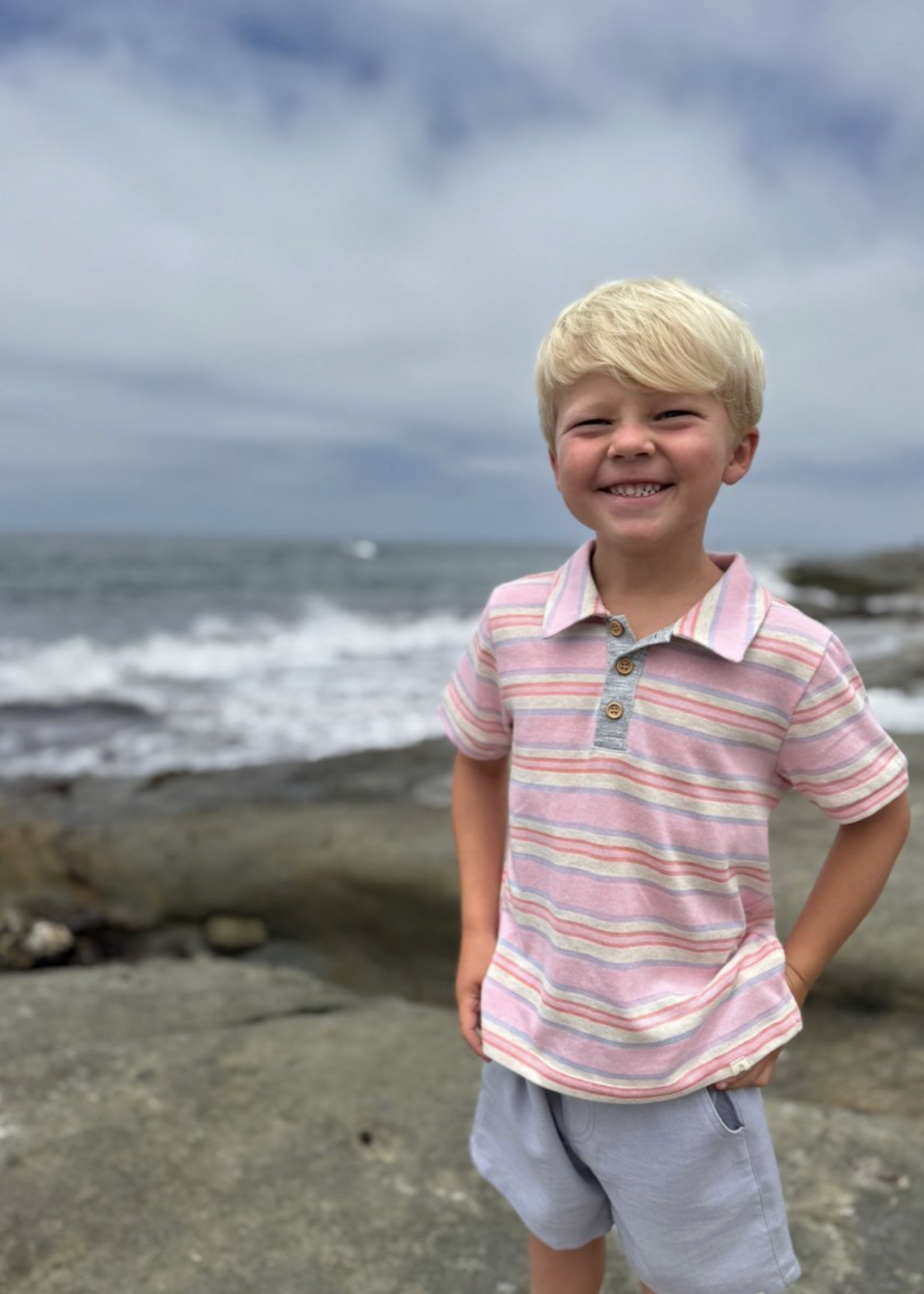 Elitaire Petite Crew Woven Shorts in Grey