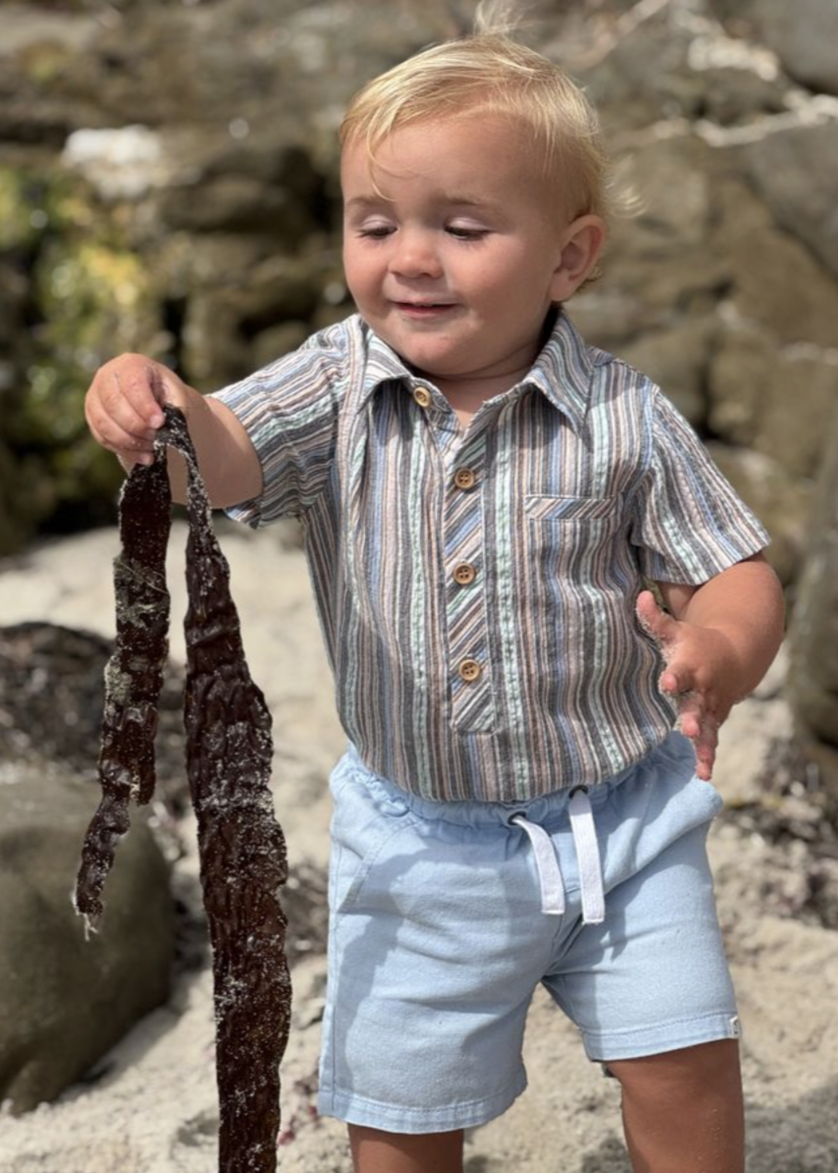 Elitaire Petite Newport Onesie/Shirt in Multi Stripe