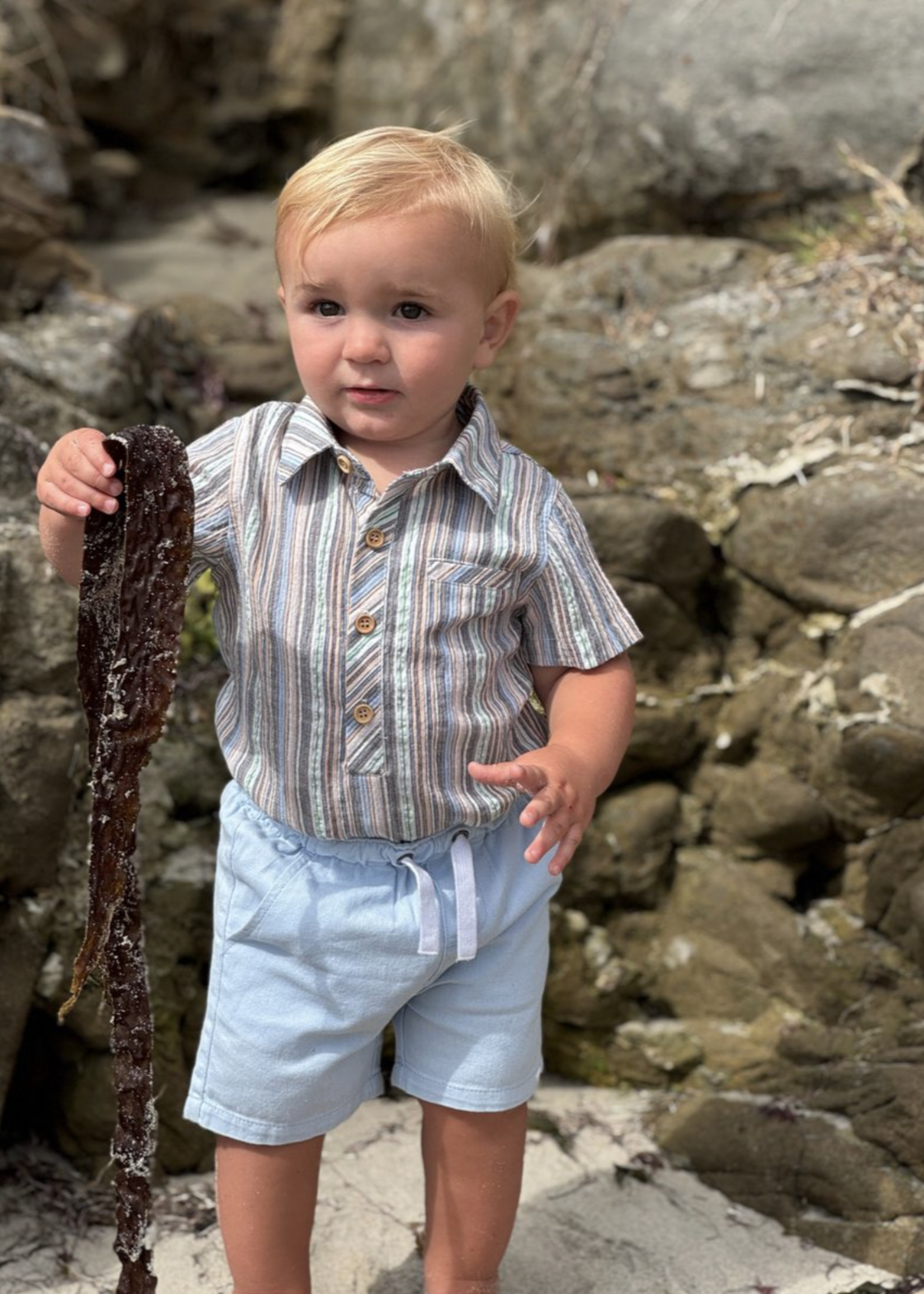 Elitaire Petite Newport Onesie/Shirt in Multi Stripe