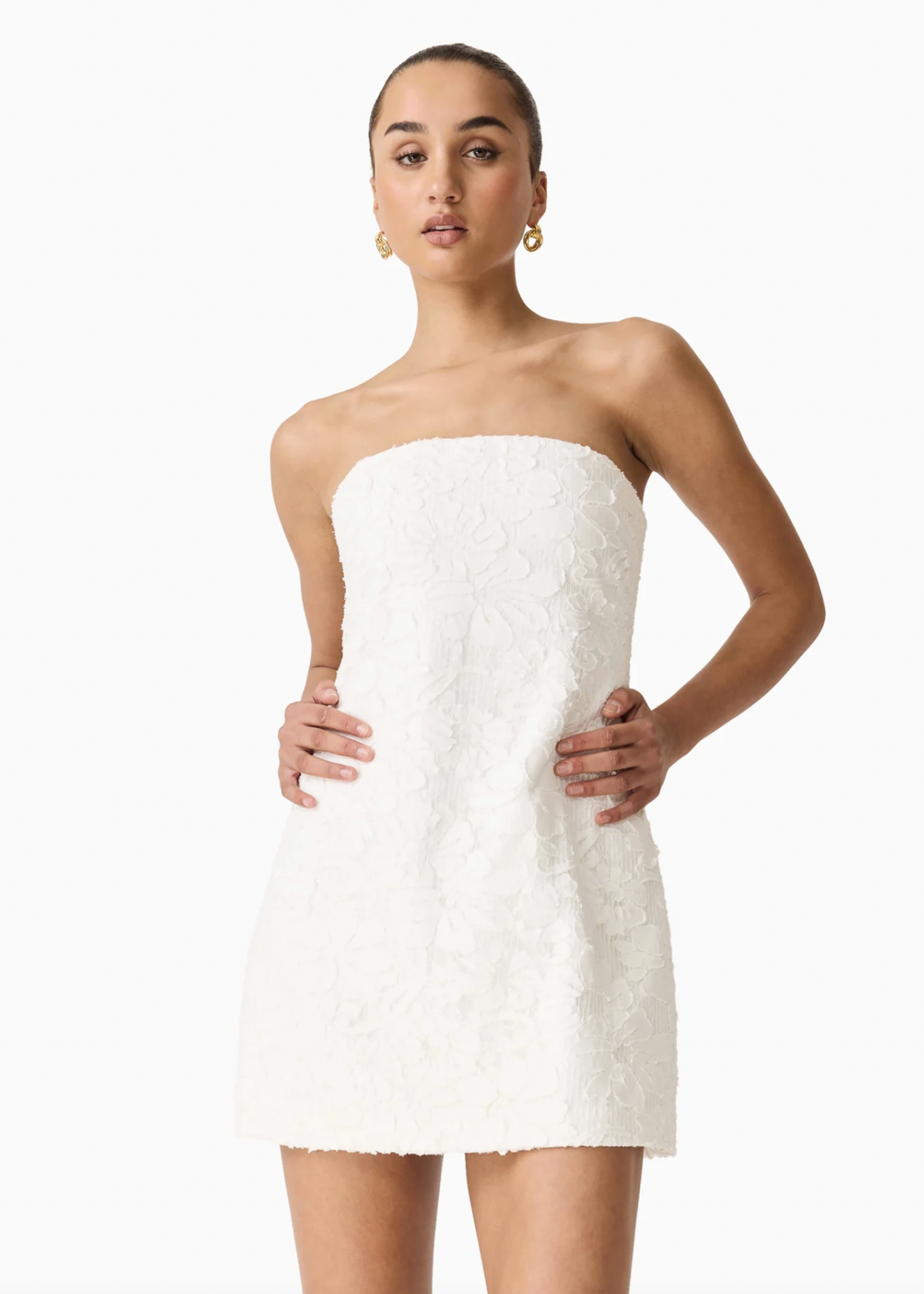 Elitaire Boutique Edelie Mini Dress