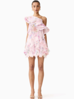 Elitaire Boutique Millie Ruffle Mini Dress