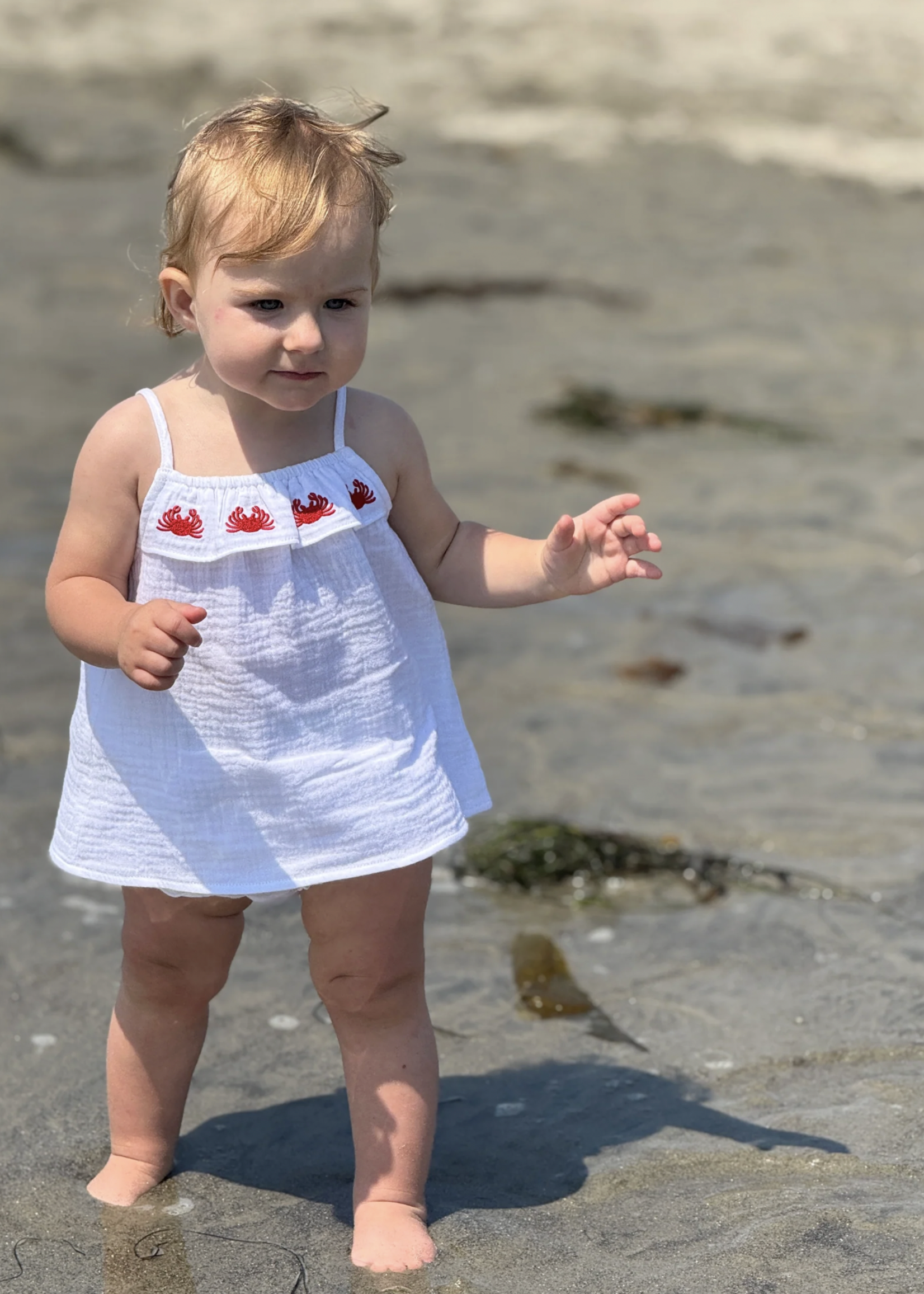 Elitaire Petite Alice Set in Crabs Embroidery