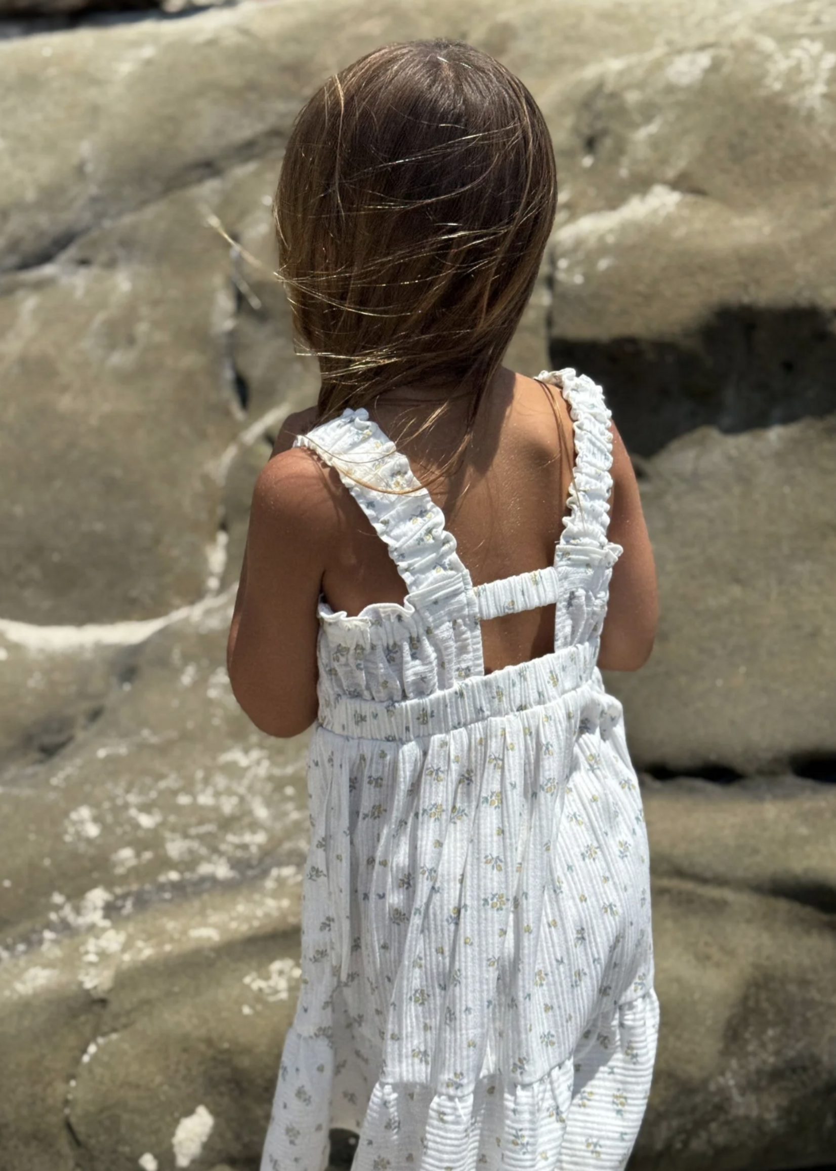 Elitaire Petite Susie Dress in Ivory Floral