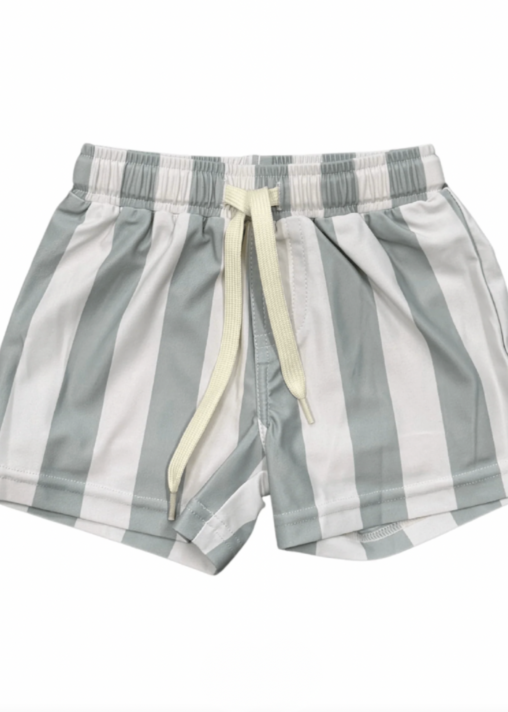 Elitaire Petite Aqua Stripe Swim Shorts