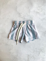 Elitaire Petite Aqua Stripe Swim Shorts