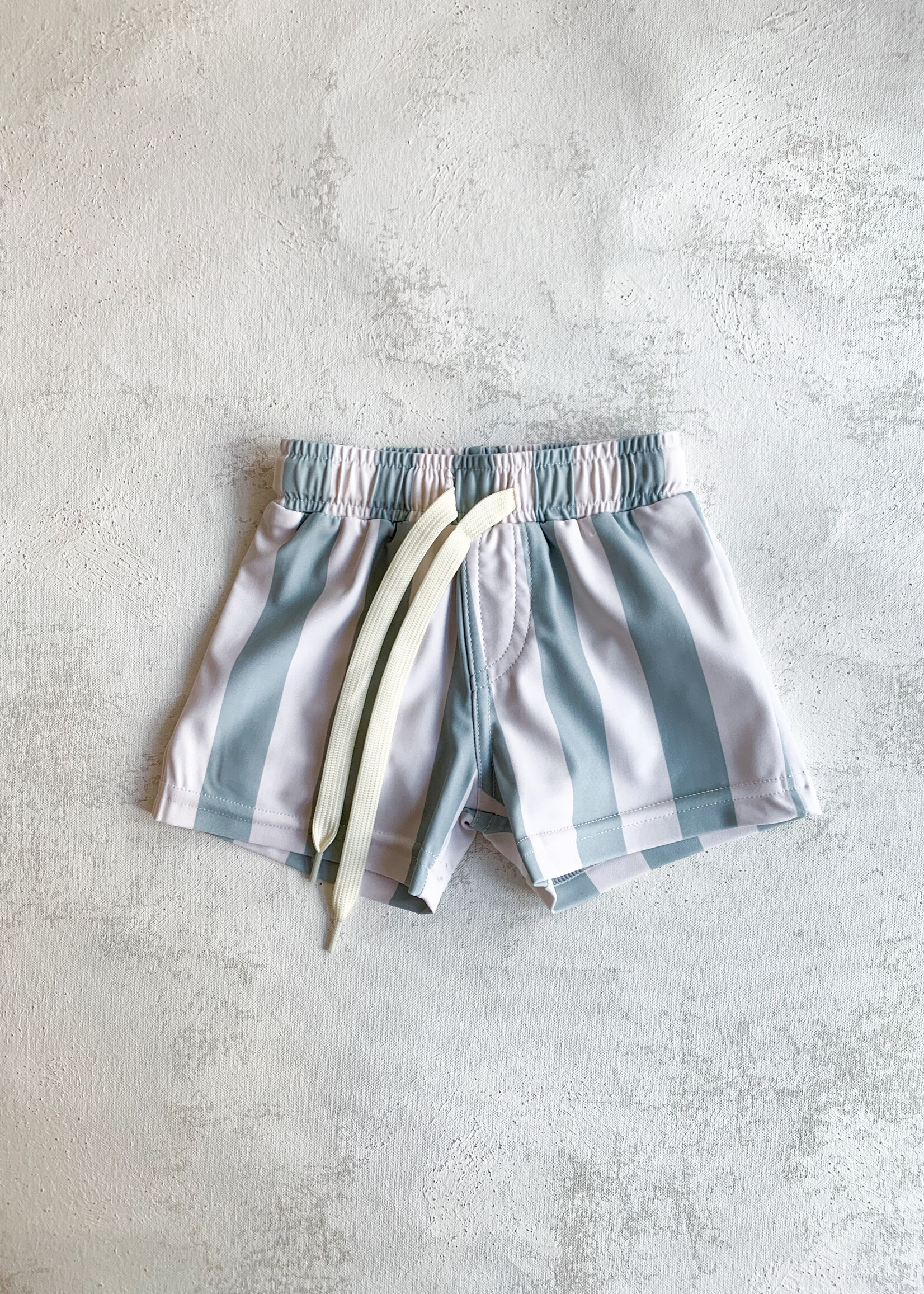 Elitaire Petite Aqua Stripe Swim Shorts