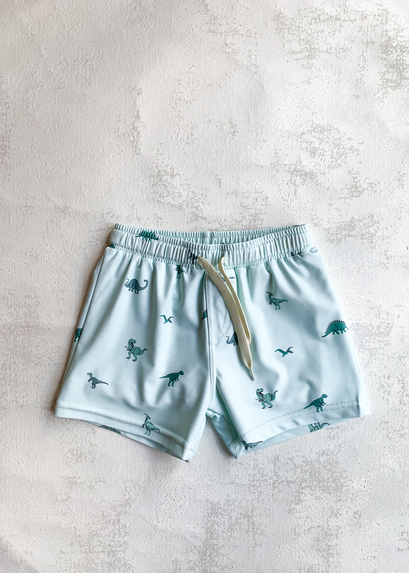 Elitaire Petite Dinosaur Swim Shorts