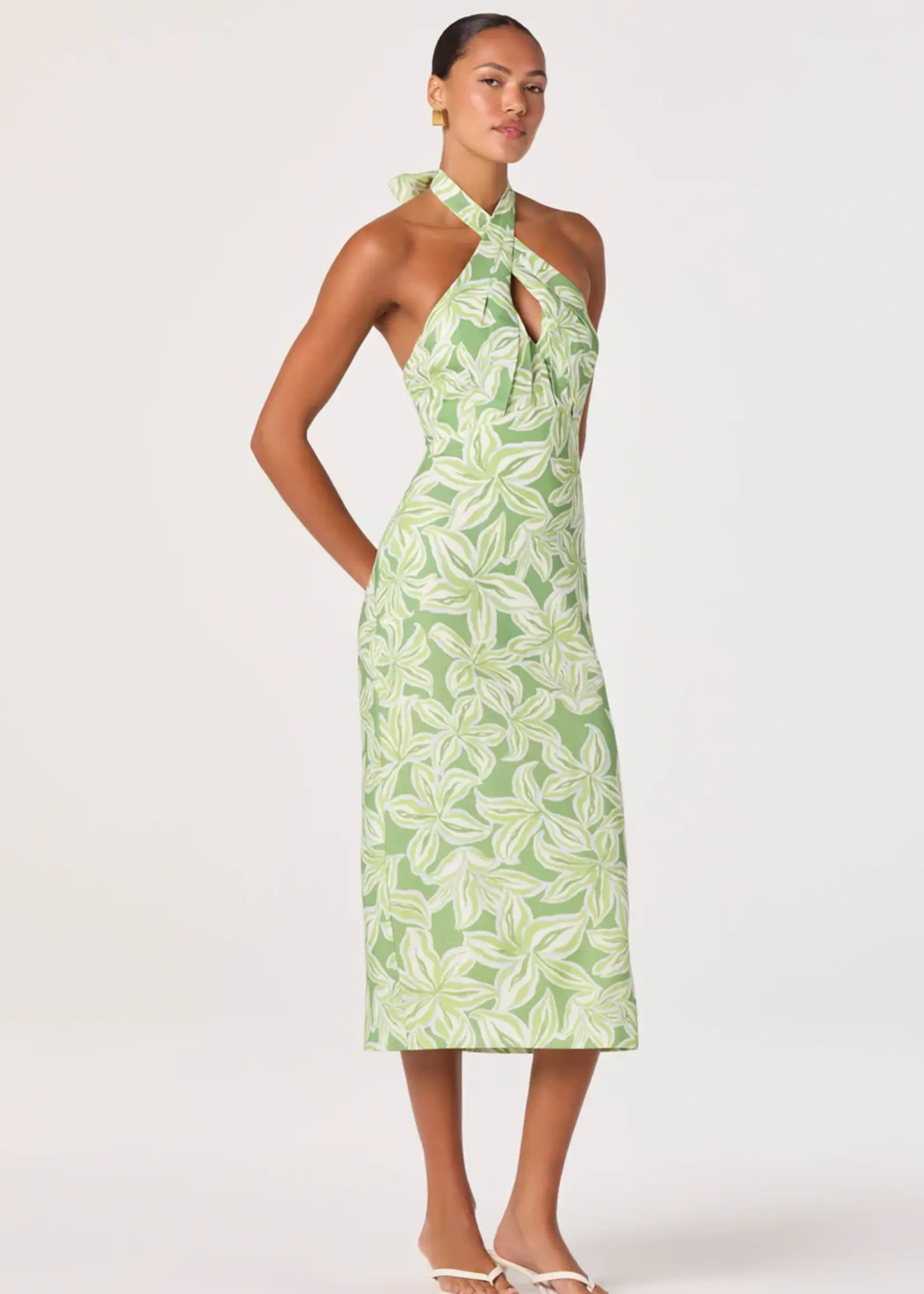 Elitaire Boutique Anita Midi Dress