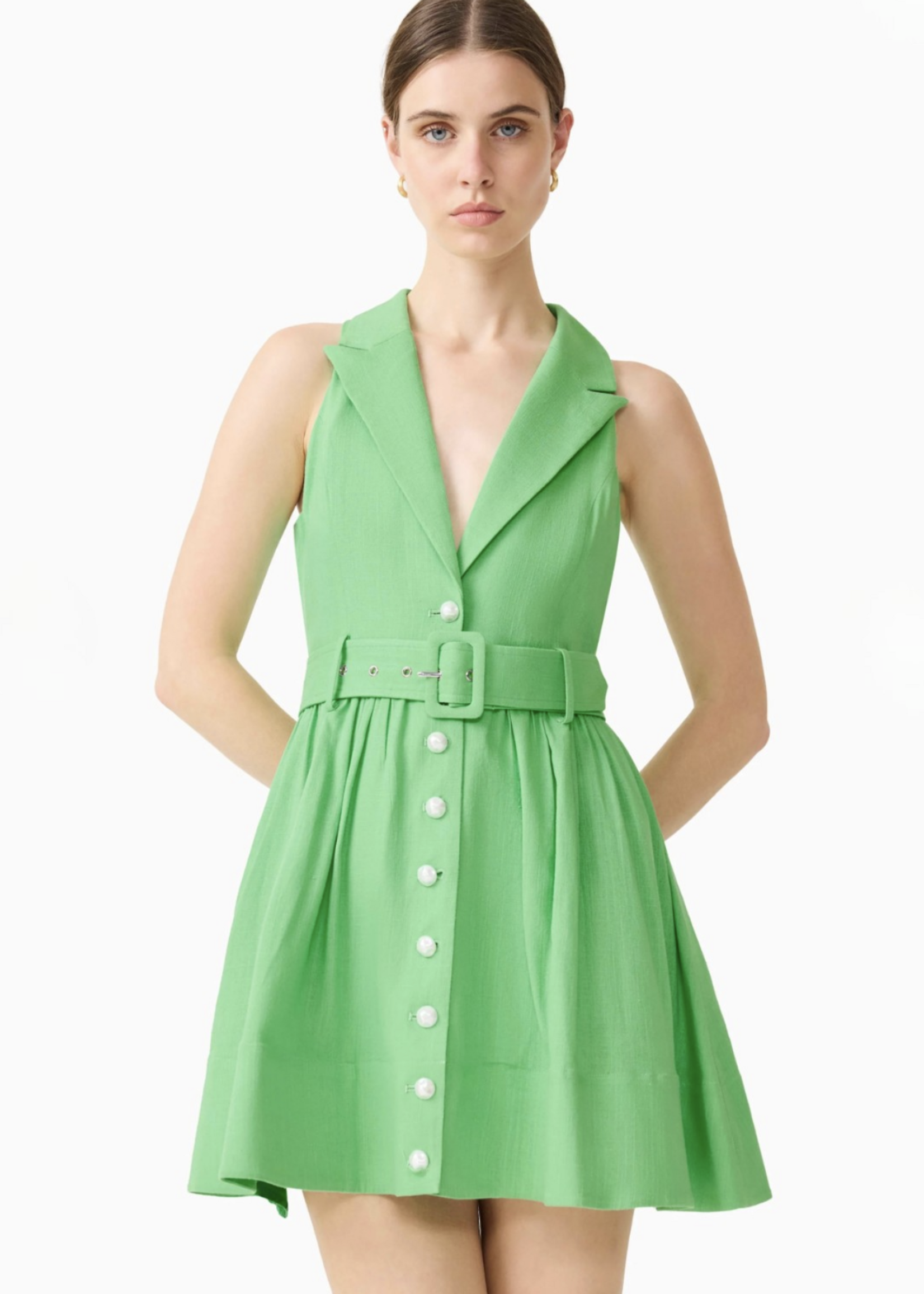 Elitaire Boutique Emile Collared Mini Dress