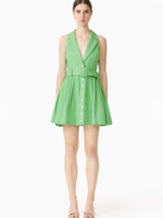 Elitaire Boutique Emile Collared Mini Dress