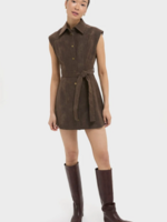Elitaire Boutique Miller Mini Dress