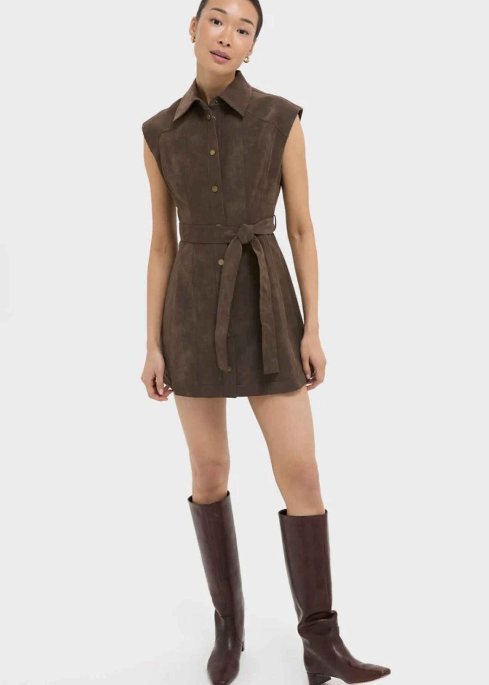 Elitaire Boutique Miller Mini Dress