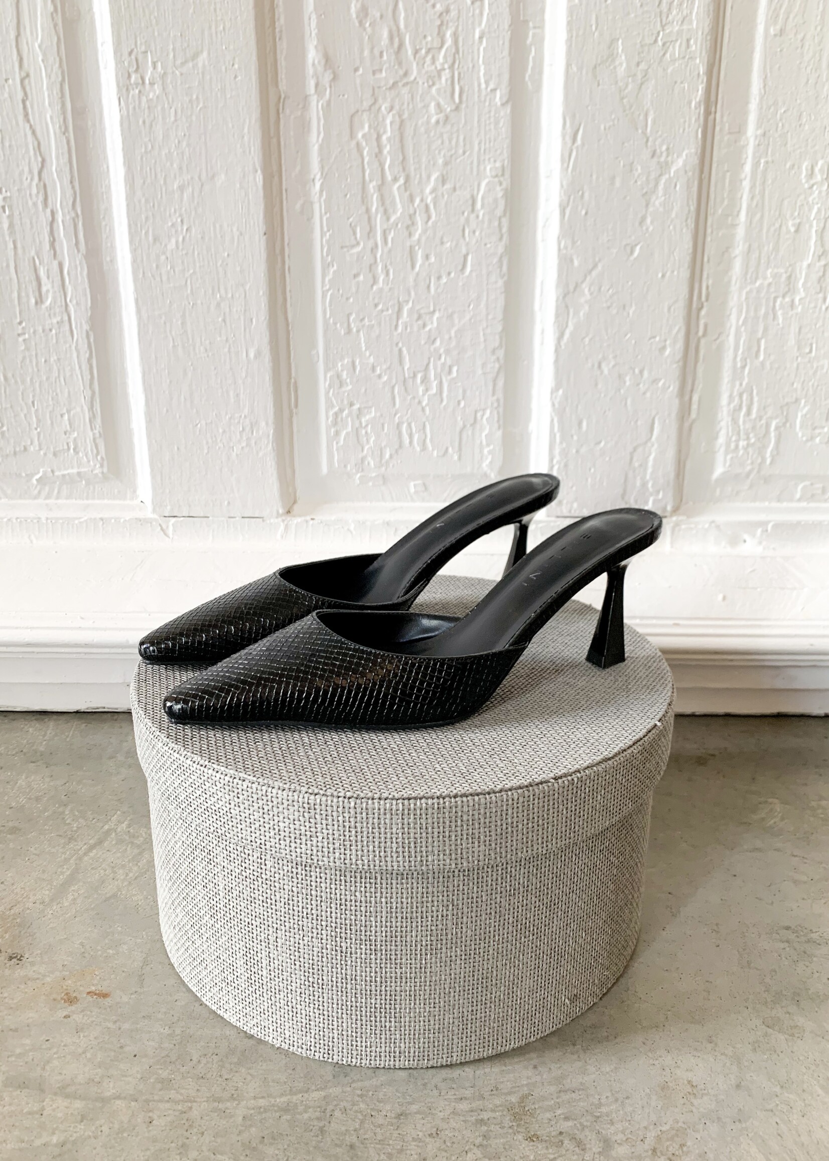 Elitaire Boutique Yovanni Heeled Mule in Black Scale