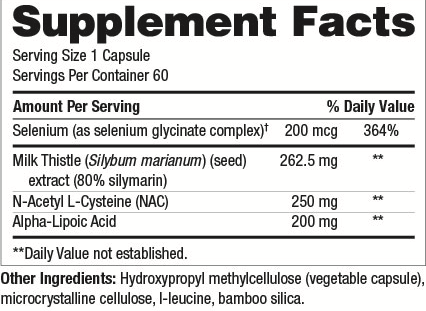 GI Support------ LVR SUPPORT 60CT