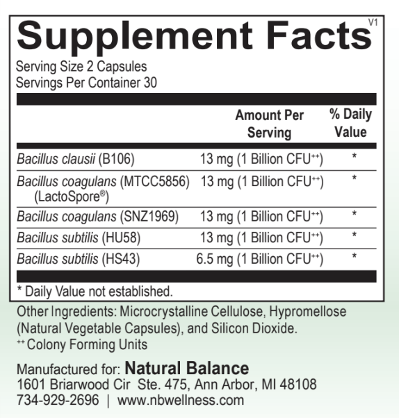 Basic------------- HSO FORTE 60CT (ORTHO)