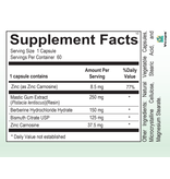 GI Support------ MASTIC PL 60 CT