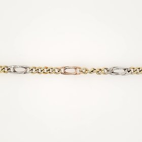 20219 TRI COLOR HIGH POLISH CURB FANCY LINK BRACELET