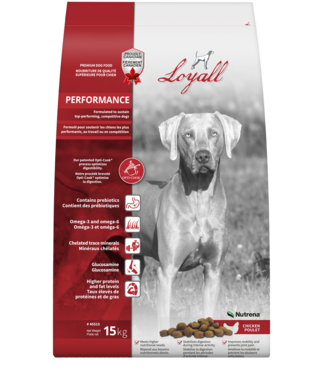 Loyall Chien adulte - Formule Performance