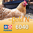 Cargill-Purina 6040 - GOLD'N Début poussin