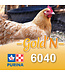 Cargill-Purina 6040 - GOLD'N Début poussin