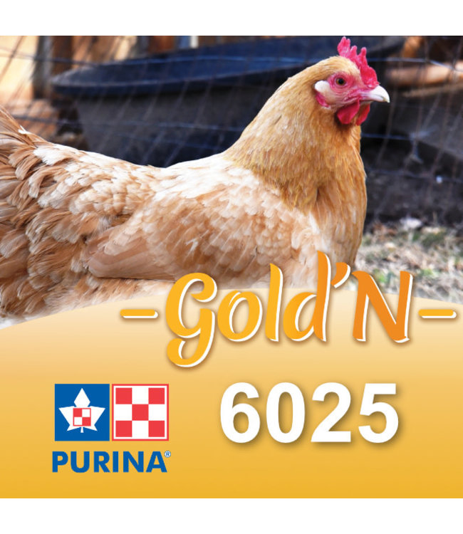 Cargill-Purina 6025 - GOLD'N Layena texturé - Moulée de ponte