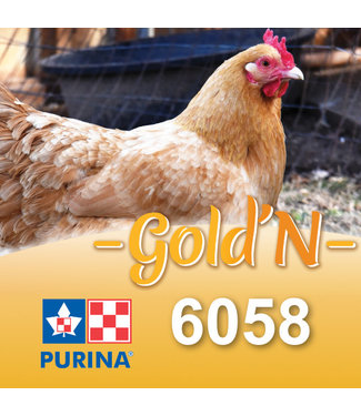 Cargill-Purina 6058C - GOLD'N Croissance canard en cube
