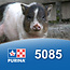 Cargill-Purina 5085 - Nourriture pour mini cochon