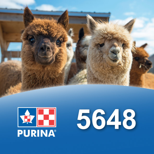 Cargill-Purina 5648 - Alpaca maintenance