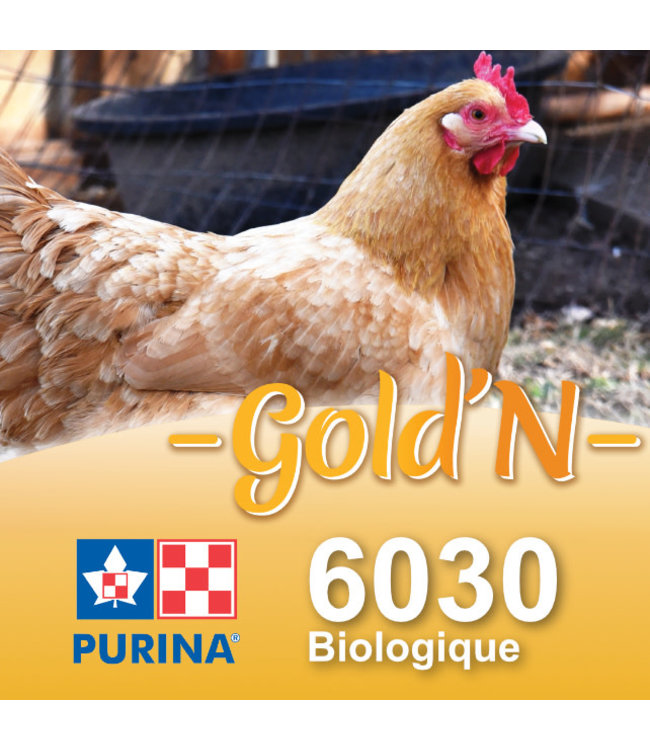 Cargill-Purina 6030 - GOLD'N Layena Biologique pour ponte