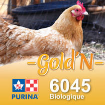 6045 - GOLD'N Croissance biologique
