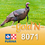 Cargill-Purina 8071D - GOLD'N Dinde croissance comprimés