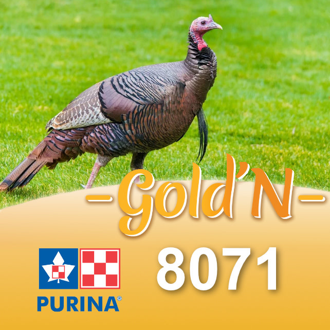 Cargill-Purina 8071D - GOLD'N Dinde croissance comprimés