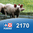 Cargill-Purina 2170 - Porc début et croissance