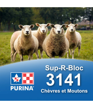 Cargill-Purina 3141 - Sup-R-Bloc  mouton et chèvre