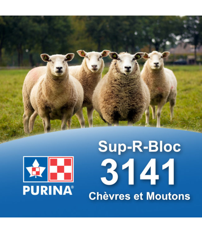 Cargill-Purina 3141 - Sup-R-Bloc mouton et chèvre