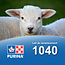 Cargill-Purina 1040 - Substitut laitier pour agneau