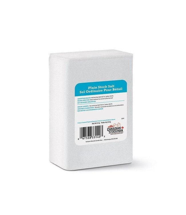 Sifto White salt block