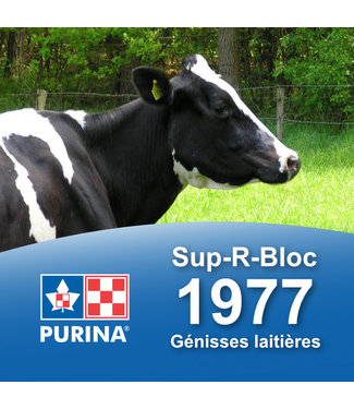 Cargill-Purina 1977 - Sup-R-Bloc Génisse laitières