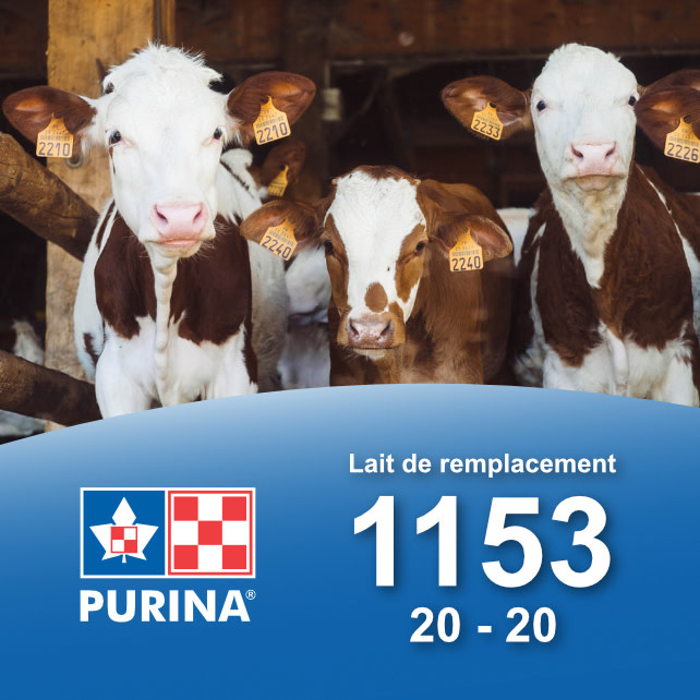 Cargill-Purina 1153 - Lait de remplacement pour veaux 20-20